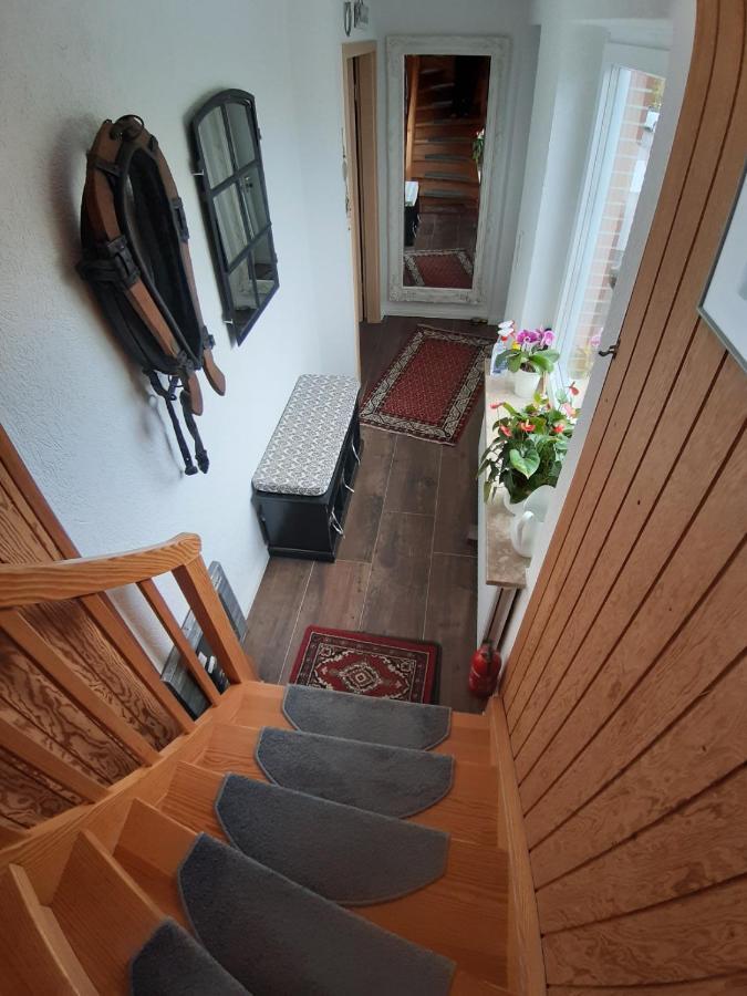 Ferienwohnung Schwalbennest Hanerau-Hademarschen Εξωτερικό φωτογραφία